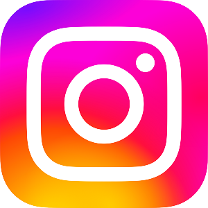 Icona Instagram